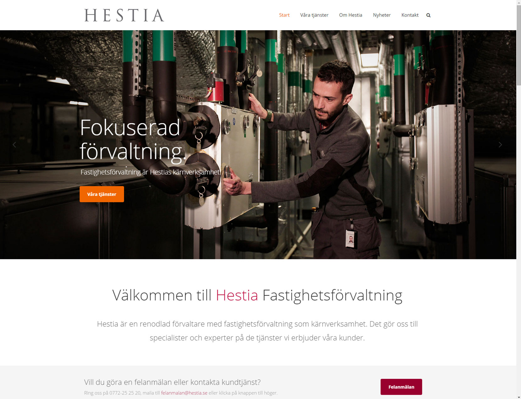 hestia5